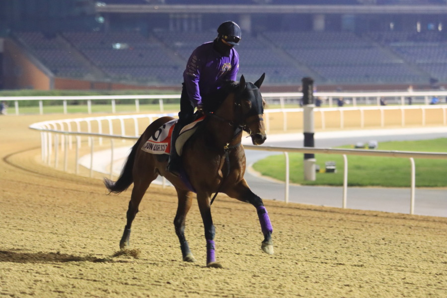 24日の日本馬（ドバイワールドカップ組）の画像