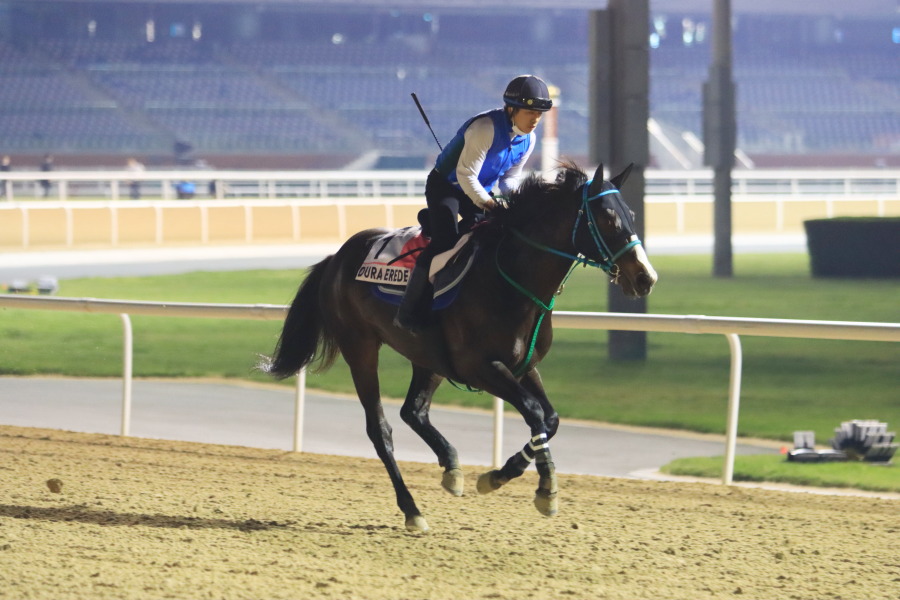 24日の日本馬（UAEダービー組）の画像