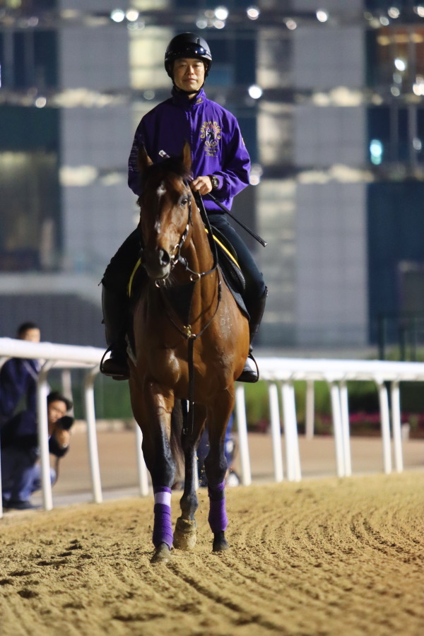 24日の日本馬（ドバイ組ターフ組）の画像