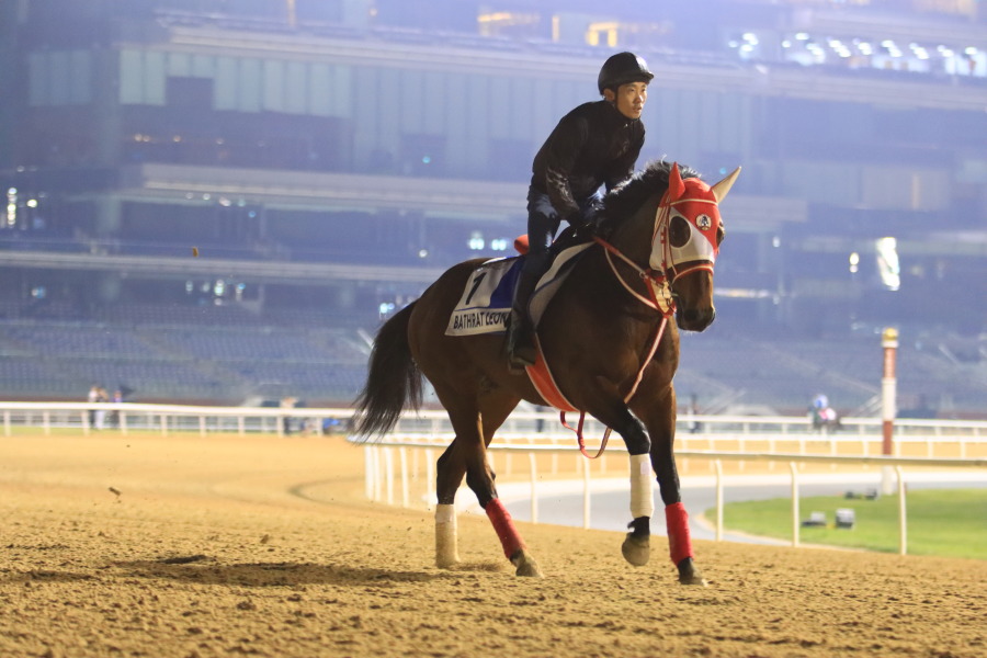 24日の日本馬（ゴドルフィンマイル組）の画像