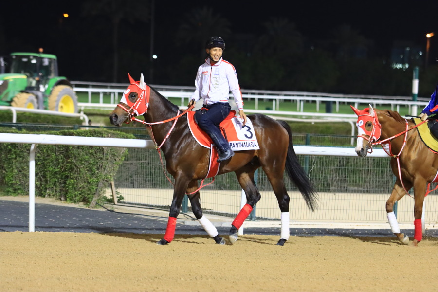 24日の日本馬（ドバイワールドカップ組）の画像