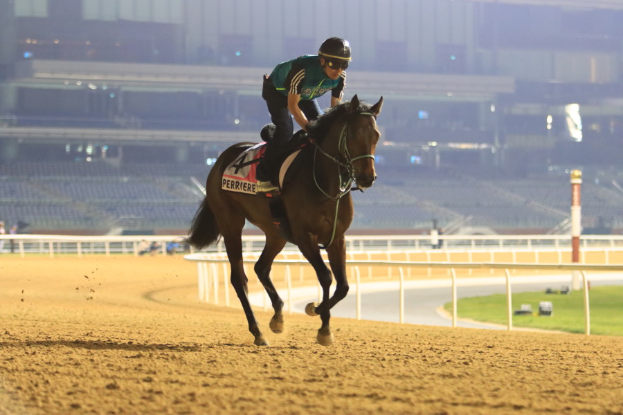 24日の日本馬（UAEダービー組）の画像