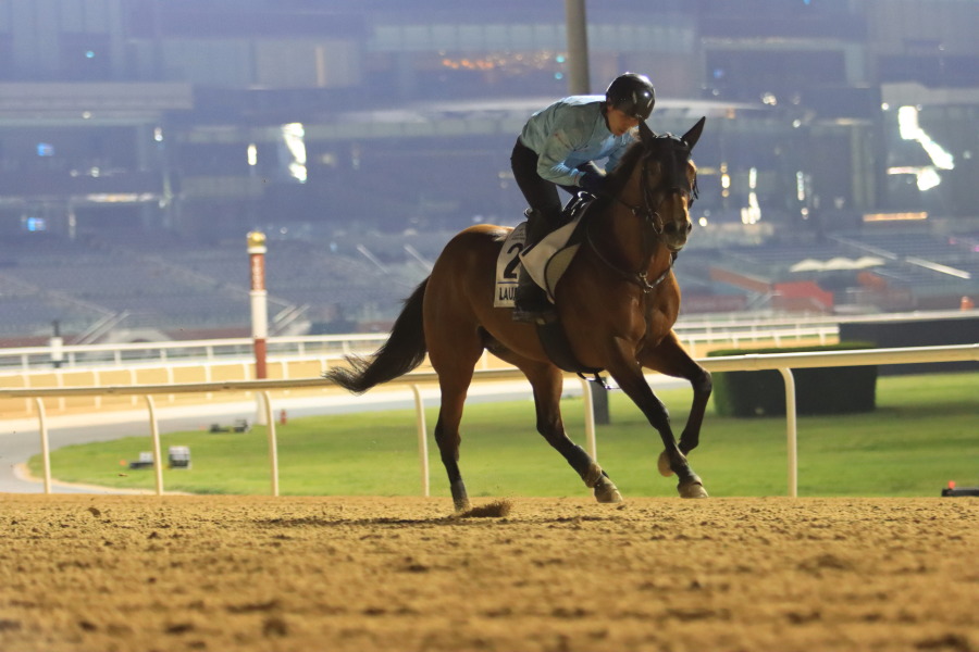 24日の日本馬（ゴドルフィンマイル組）の画像