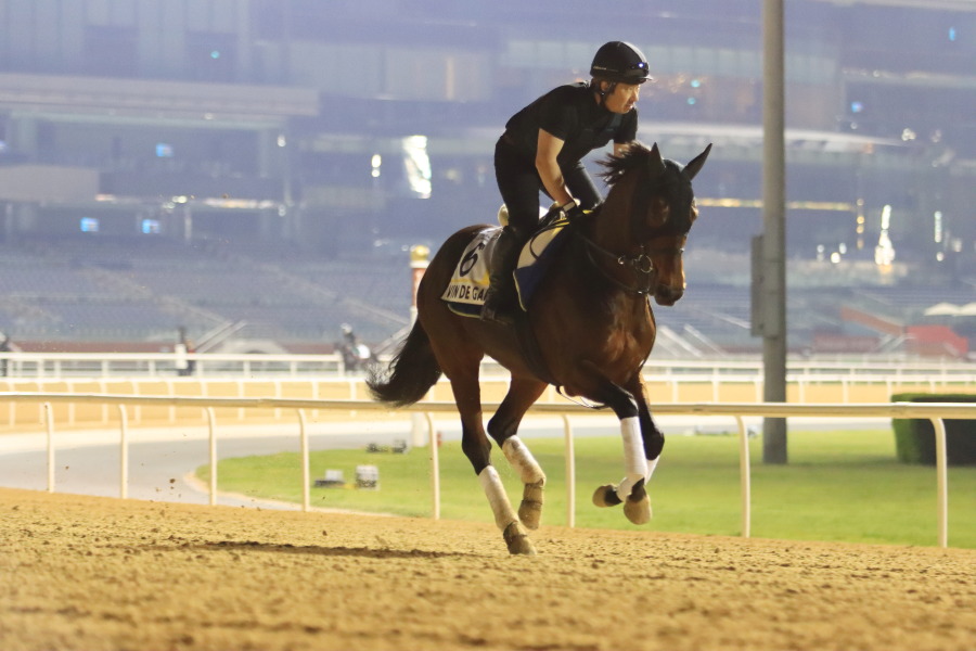 24日の日本馬（ドバイ組ターフ組）の画像