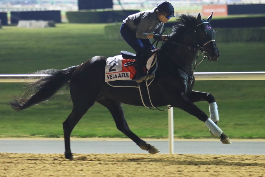 24日の日本馬（ドバイワールドカップ組）の画像