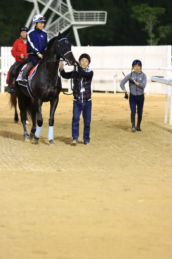 24日の日本馬（ドバイワールドカップ組）の画像